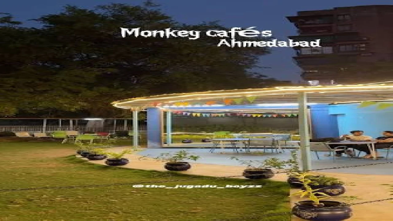 Monkey Cafe